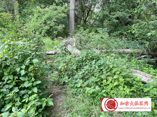 20220801-Hanover1 (12)