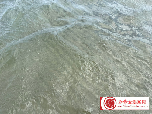 20220801-Singingsand (6)