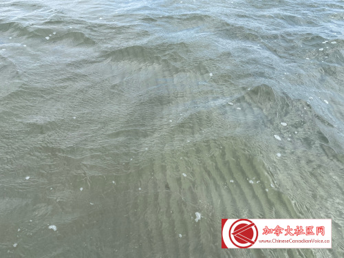 20220801-Singingsand (7)