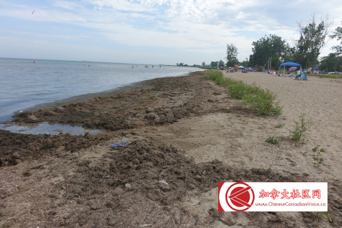 turkeypointcamp202309 (1)