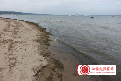 turkeypointcamp202309 (11)