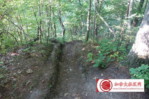 turkeypointcamp202309 (14)