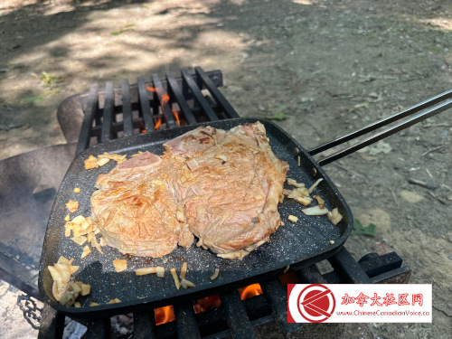 turkeypointcamp202309 (15)