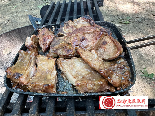 turkeypointcamp202309 (16)