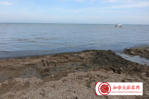 turkeypointcamp202309 (2)