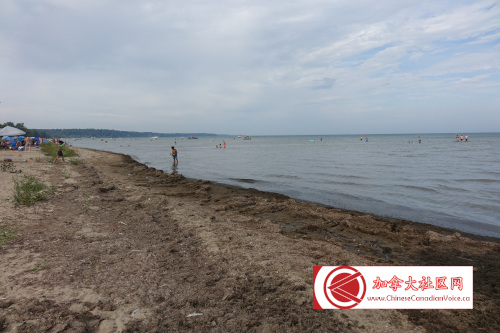 turkeypointcamp202309 (3)