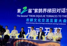 行走中国2024(3):第二届“紫鹊界梯田对话世界”干货满满