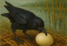 雁归我喜乐,雁离人未眠