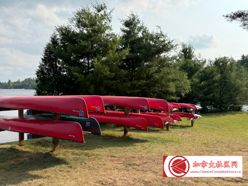 c-marten2026 (7)