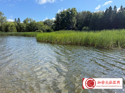 pb-luthermarsh1 (1)