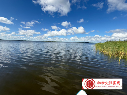 pb-luthermarsh1 (10)