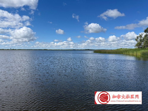 pb-luthermarsh1 (11)