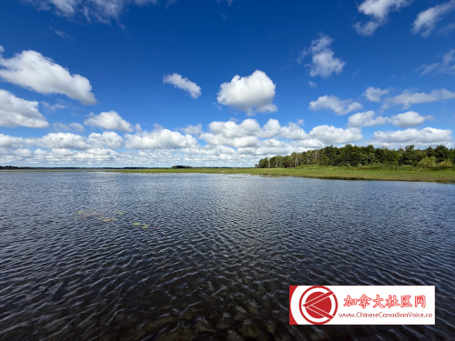 pb-luthermarsh1 (12)