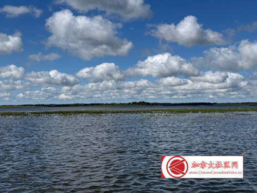 pb-luthermarsh1 (13)