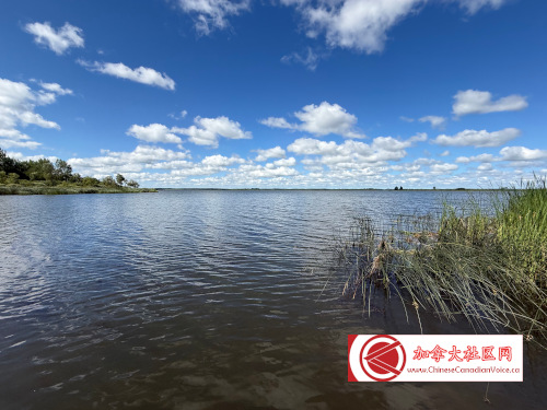 pb-luthermarsh1 (15)