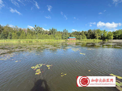 pb-luthermarsh1 (2)
