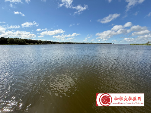 pb-luthermarsh1 (3)