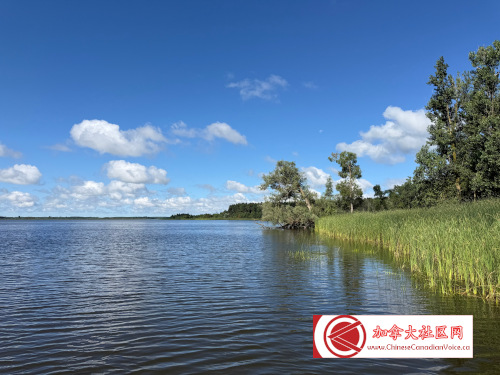 pb-luthermarsh1 (5)