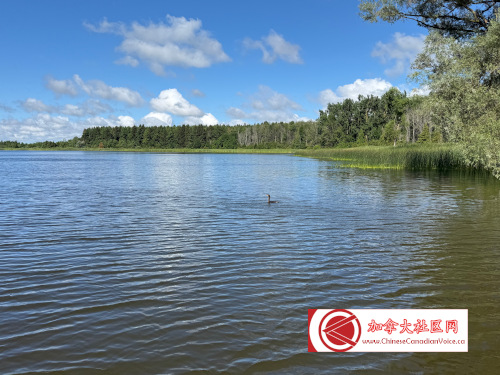 pb-luthermarsh1 (6)