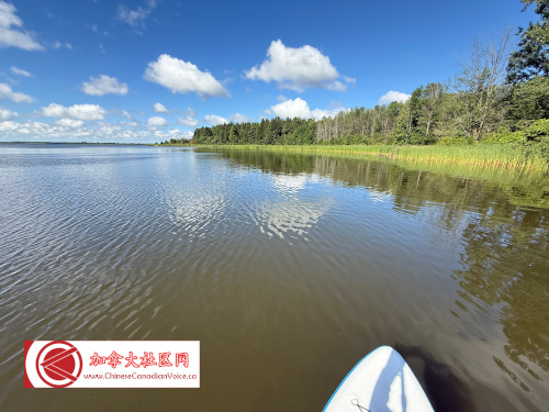 pb-luthermarsh1 (7)