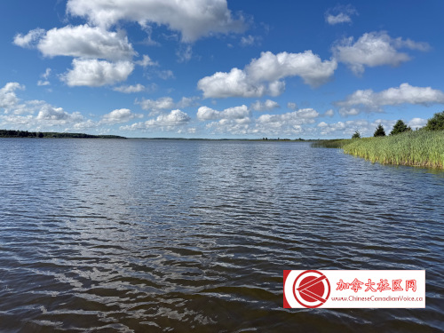 pb-luthermarsh1 (8)