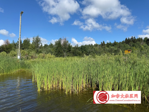pb-luthermarsh1 (9)