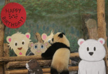 多伦多大熊猫双胞胎宝宝周岁庆典