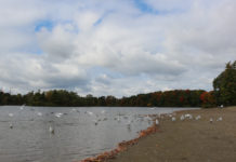 去Shade’s Mill看秋景