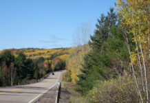 2020感恩节长周末(11):一路枫情(续)