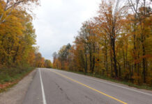 2020感恩节长周末(3):向CFS Foymount进发