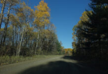 2020感恩节长周末(9):走进阿冈昆