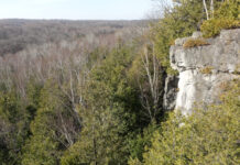 D说(121):抓住秋天的尾巴,初探Nottawasaga Bluffs