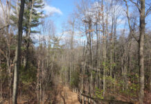 D说(128):Trail View Park在哪里?