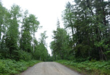 探索北安省(4):营地内晨跑也不错