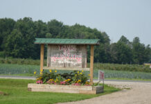 D说(369):采梅塞河边,悠然见母鸡