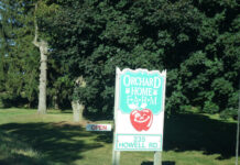 D说(421):又到水果采摘季,不要忘记去享受!