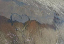 Long Point省立公园二日游