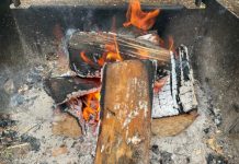 去Sauble Falls省立公园露营(1)