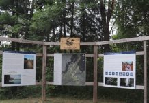 Lindsay小镇漫游记