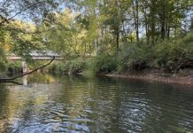 板行记(19):Big Creek奇航录(上)