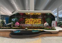 行走中国2025系列(1):黑夜中飞向中国