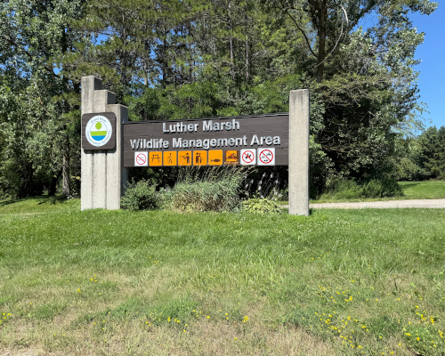 pb-luthermarsh1 (0)